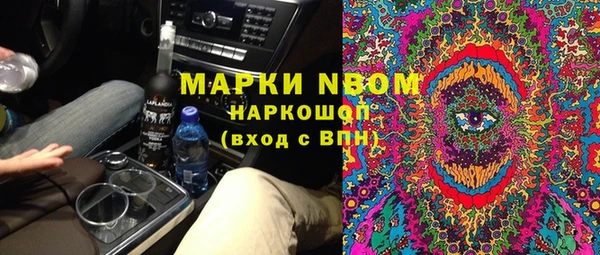 амф Новозыбков