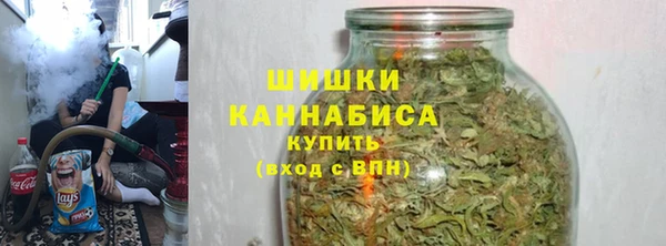 амф Новозыбков