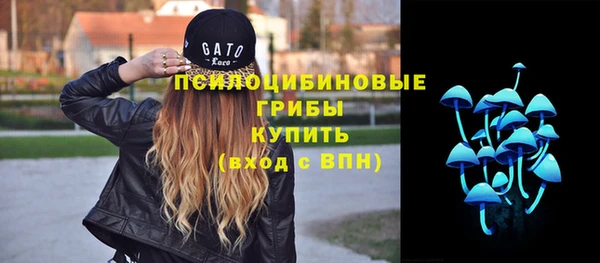 амф Новозыбков