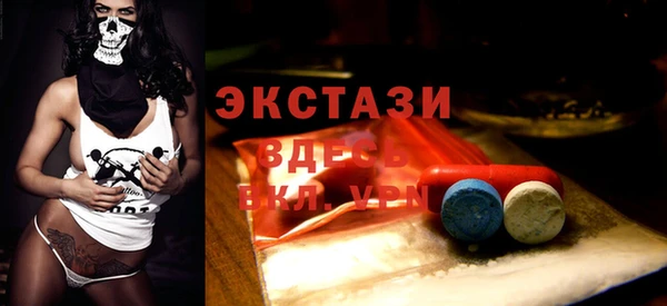 spice Новодвинск