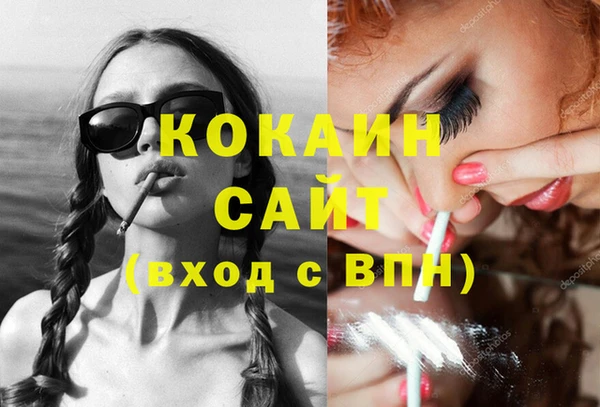 spice Новодвинск