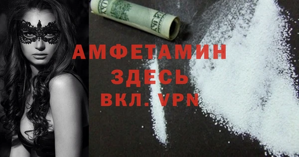 spice Новодвинск
