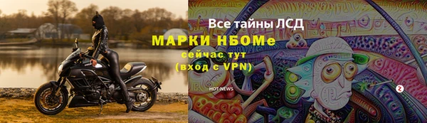 амф Новозыбков