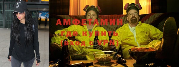 амф Новозыбков