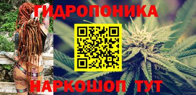 кокс Донской