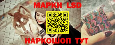 кокс Донской