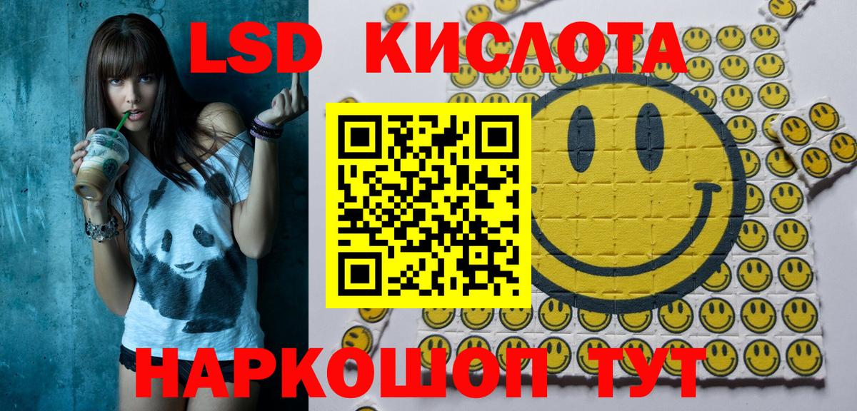 Альфа ПВП Североморск