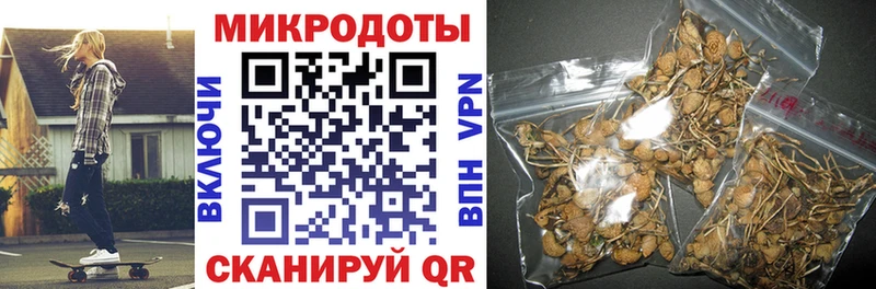 купить   гидра ссылка  Галлюциногенные грибы Psilocybe  Североморск 