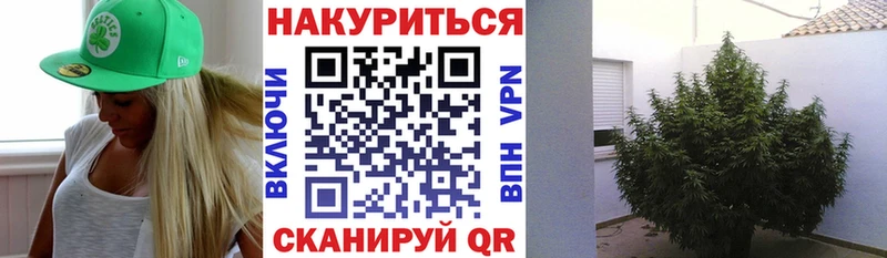 Бошки Шишки гибрид Североморск